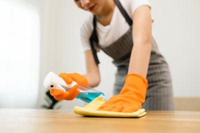 Apartment Maid Service in Palm Coast, FL