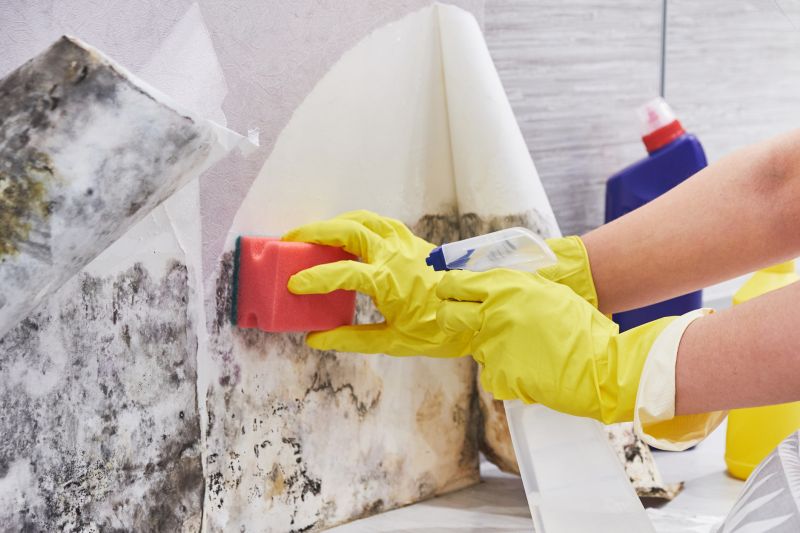 Black Mold Remediation in Bergen County, NJ