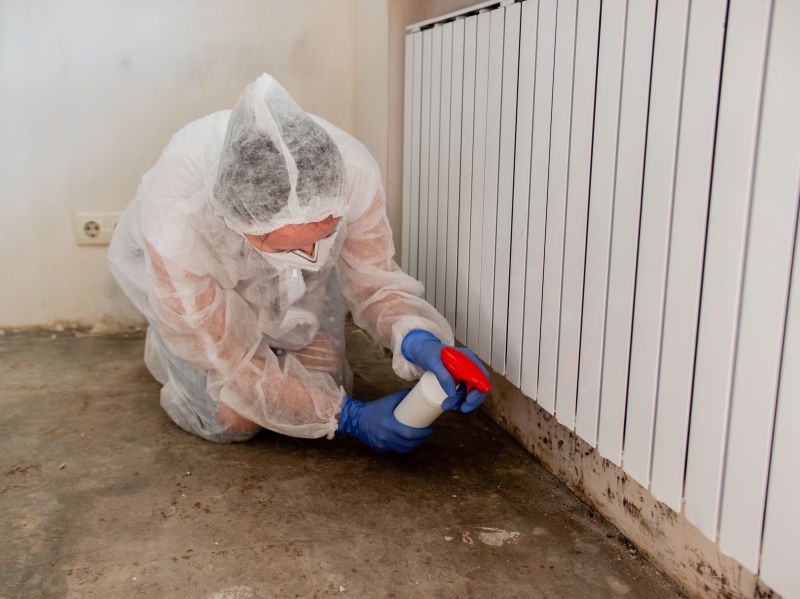 Mold Remediation Service in Fort Lauderdale, FL