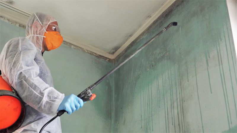 Mold Remediation Service in Dallas, TX