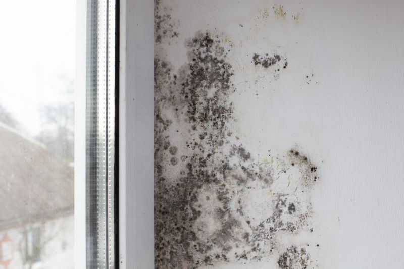 White Mold Mitigation in Essex County, NJ